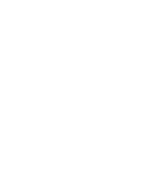 Logo Urzędu Dozoru Technicznego